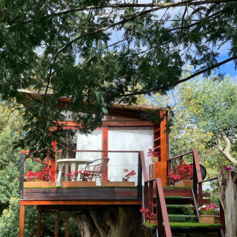 Casa En El Arbol Villa Suesca Luaran gambar